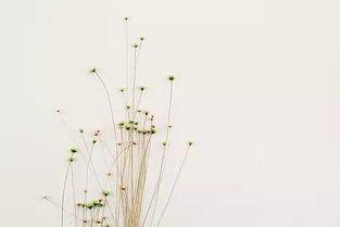 听见，书的声音——你好！大女生,大女生的心灵之旅