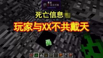 死亡信息,探寻逝者生命的最后篇章