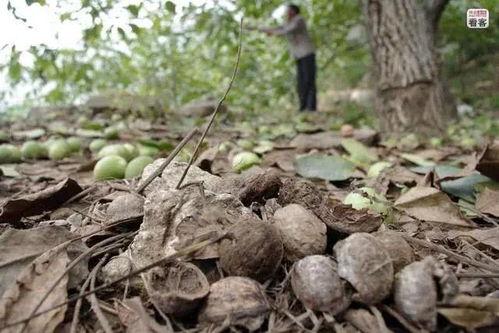 前尘误此生长,探寻人生轨迹的纠葛与抉择